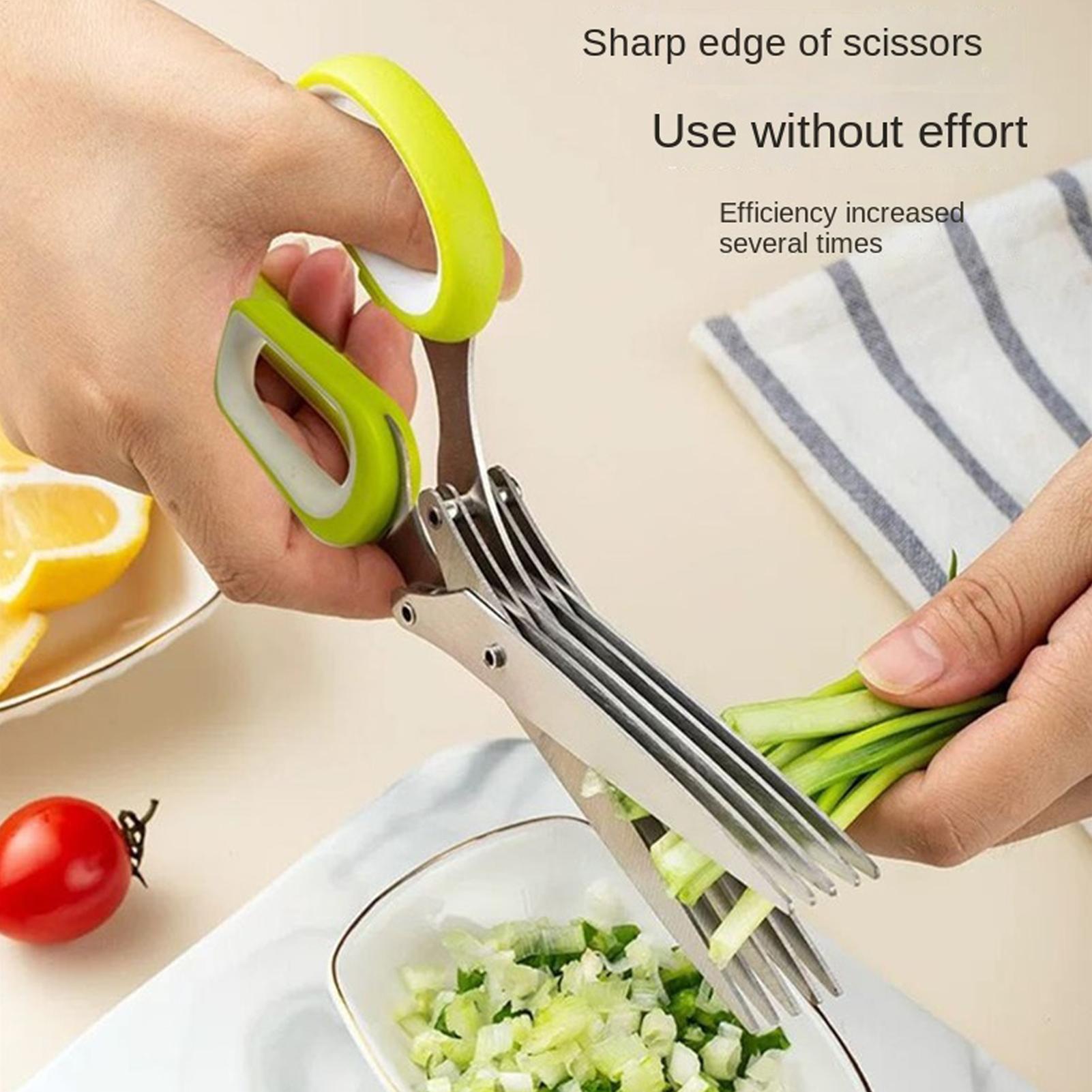 Herb Scissors 5 Blade Stainles - огляд і ціна Herb Scissors 5 Blade