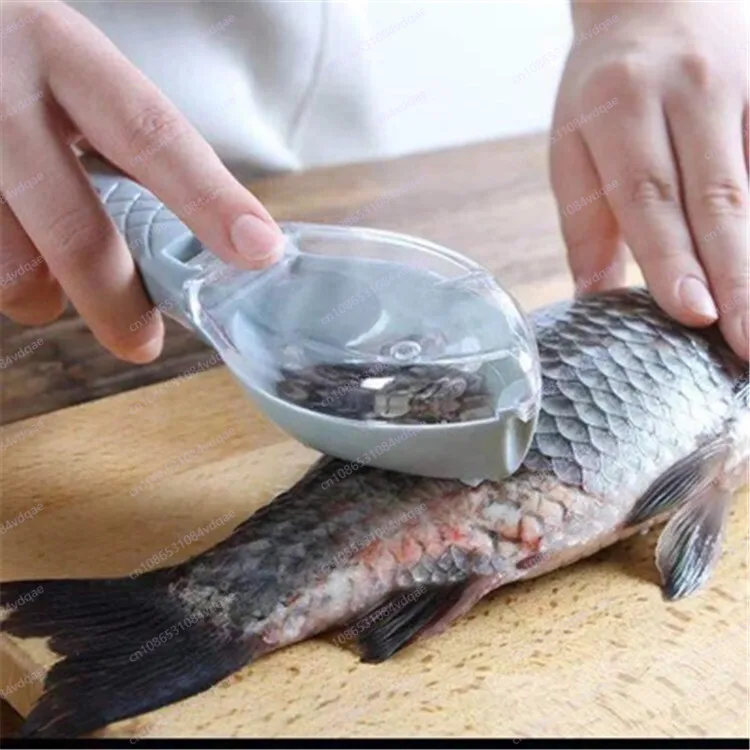 Popular Fish Scale Scraping Ar - огляд і ціна Kitchen Gadgets Popular