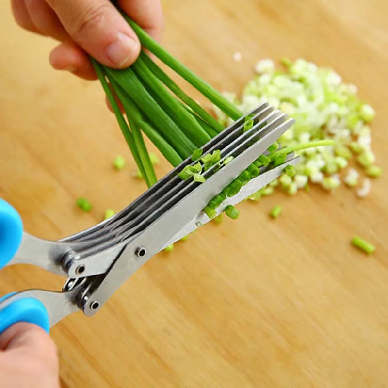 5 Layers Blade Scallion Scisso - огляд і ціна Herb Scissors 5 Blade