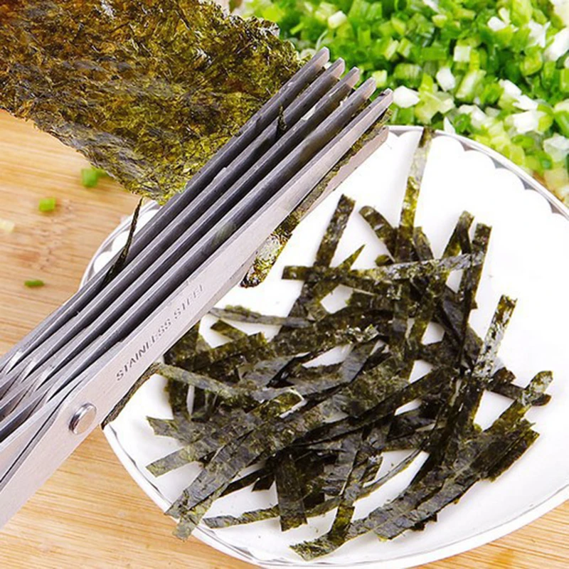 5 Layers Blade Scallion Scisso - огляд і ціна Herb Scissors 5 Blade
