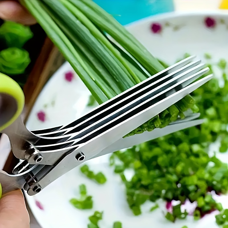 Multi-blade Stainless Steel He - огляд і ціна Herb Scissors 5 Blade