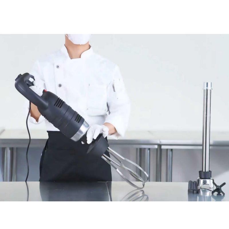 3 Models Manufacturer Price  H - огляд і ціна Immersion Blender Stick